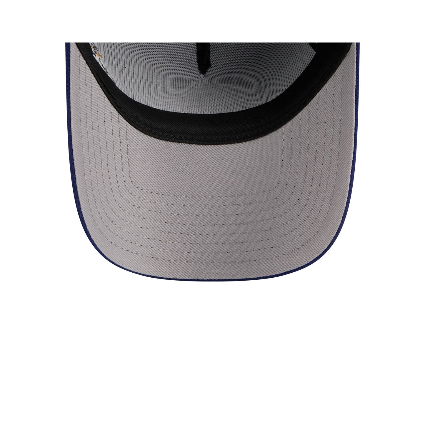 Buffalo Bisons Looney Tunes 9FORTY A-Frame Snapback Hat