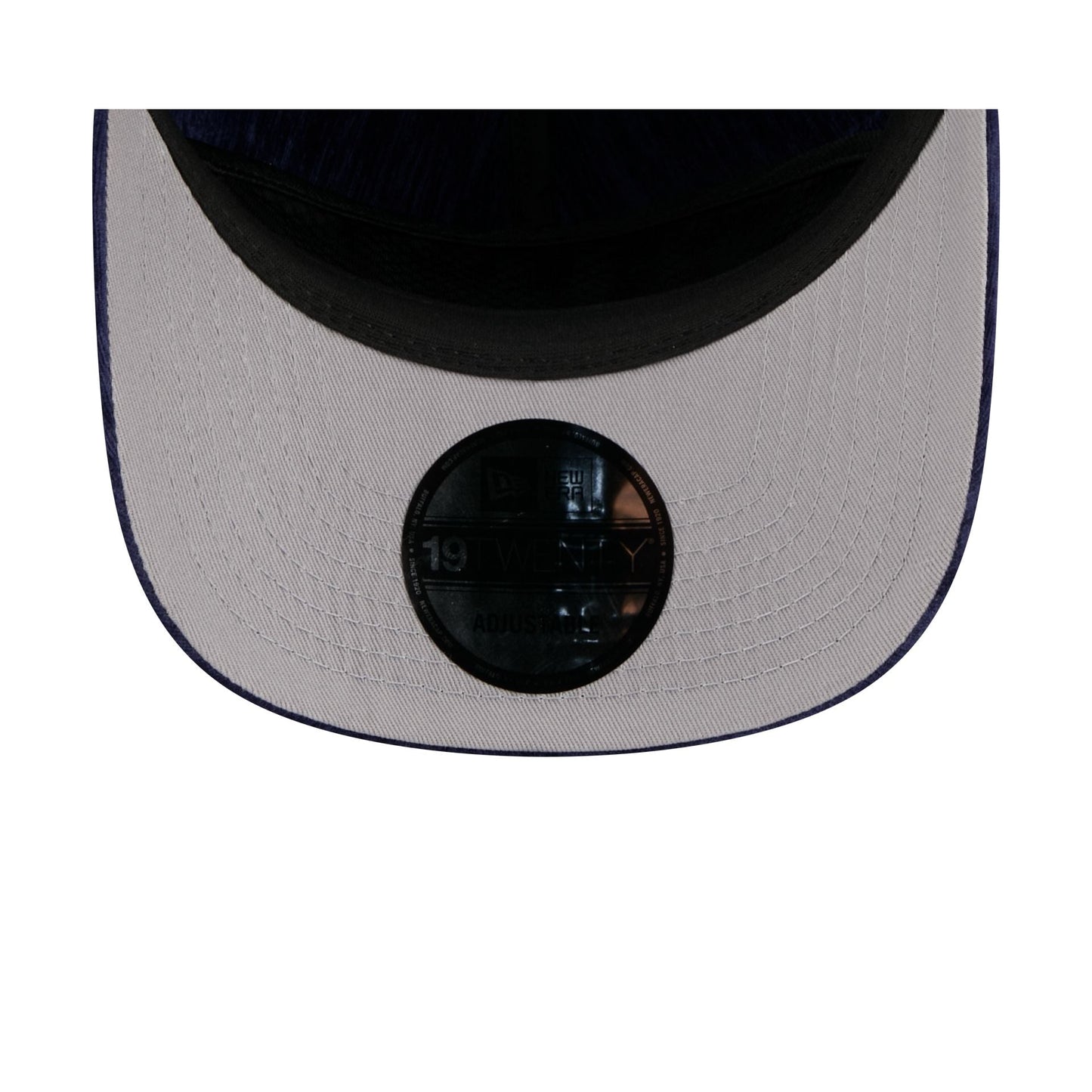 Los Angeles Dodgers Velvet Team Script 19TWENTY Adjustable Hat