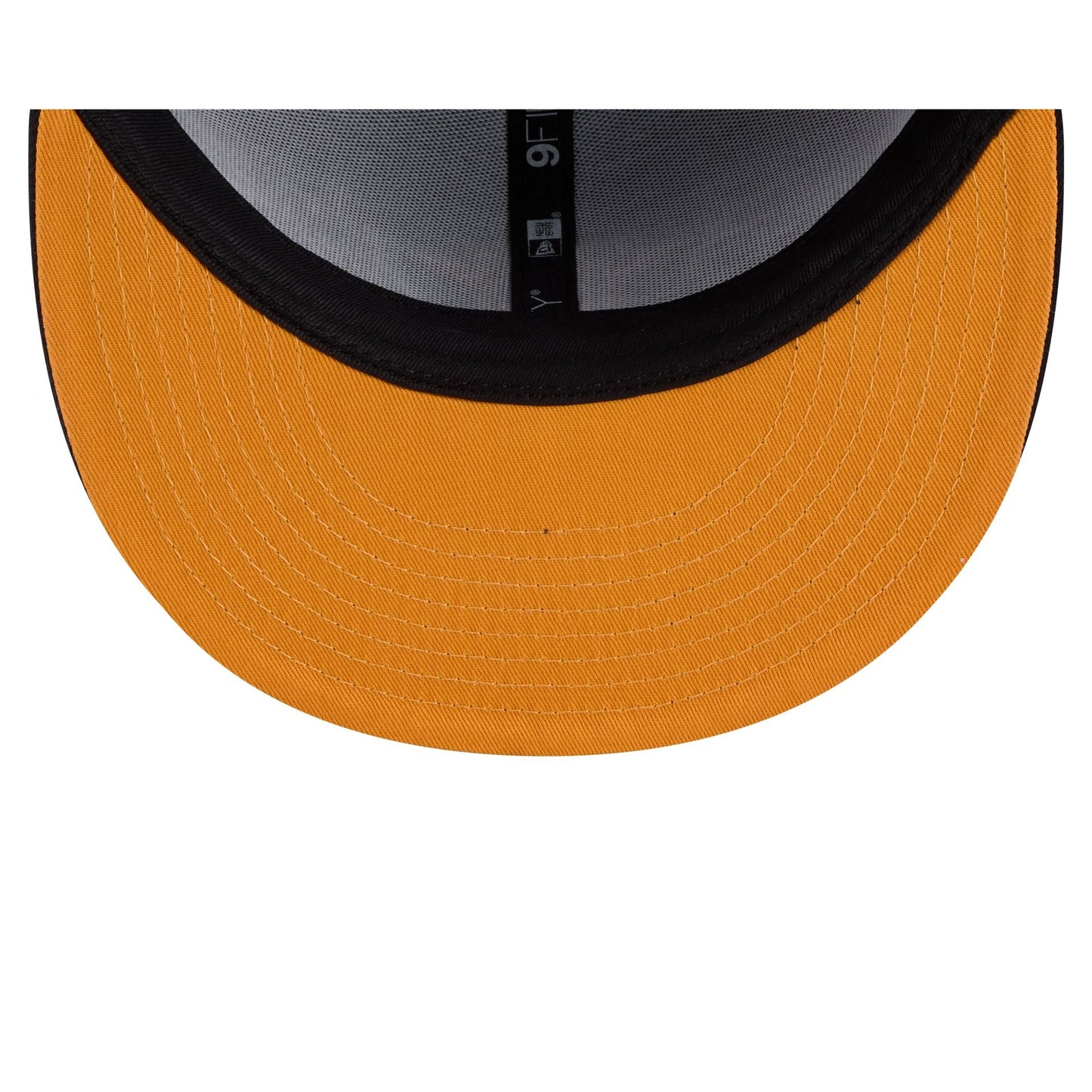 Houston Astros Daffy Duck Catch 9FIFTY Snapback Hat