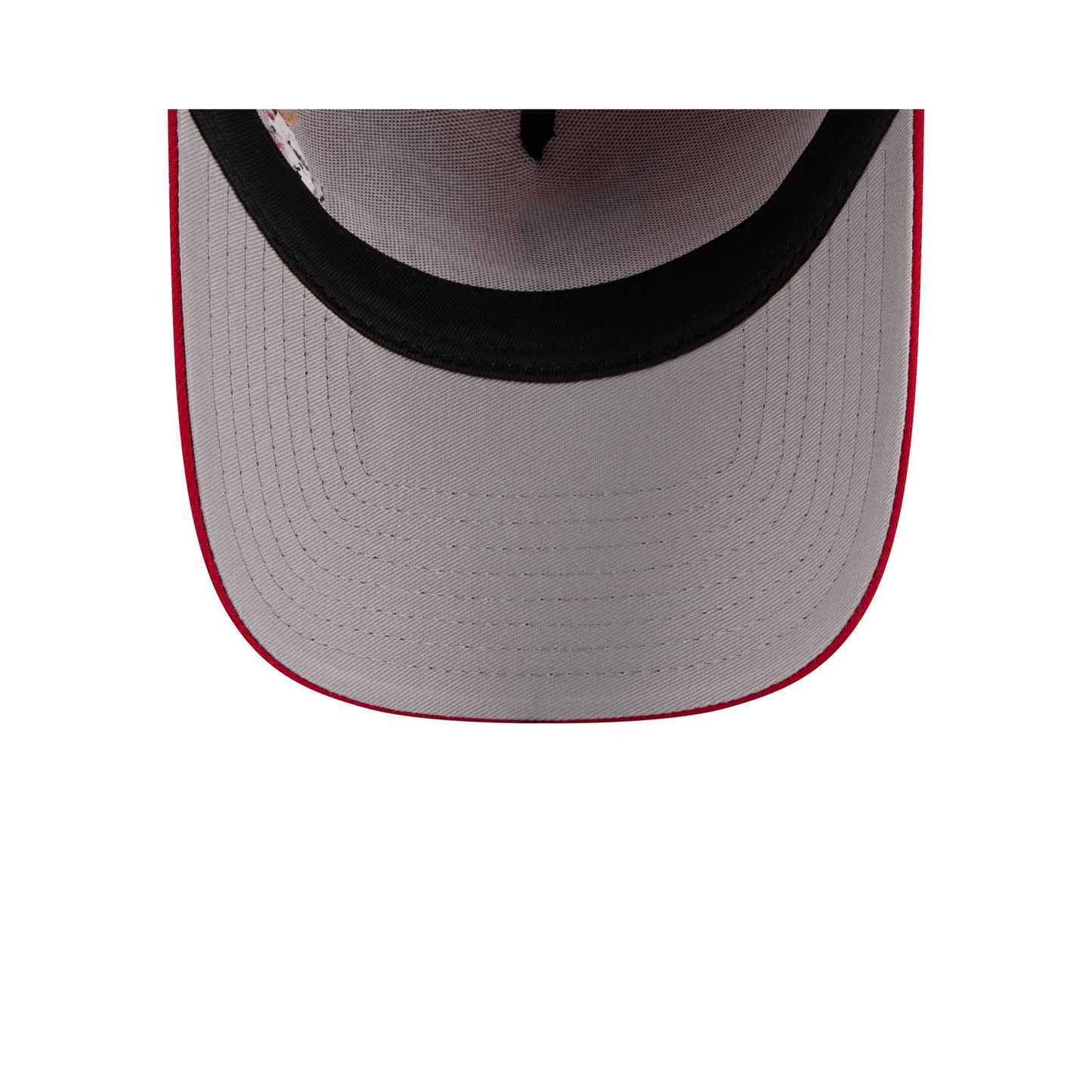 Washington Nationals Looney Tunes 9FORTY A-Frame Snapback Hat