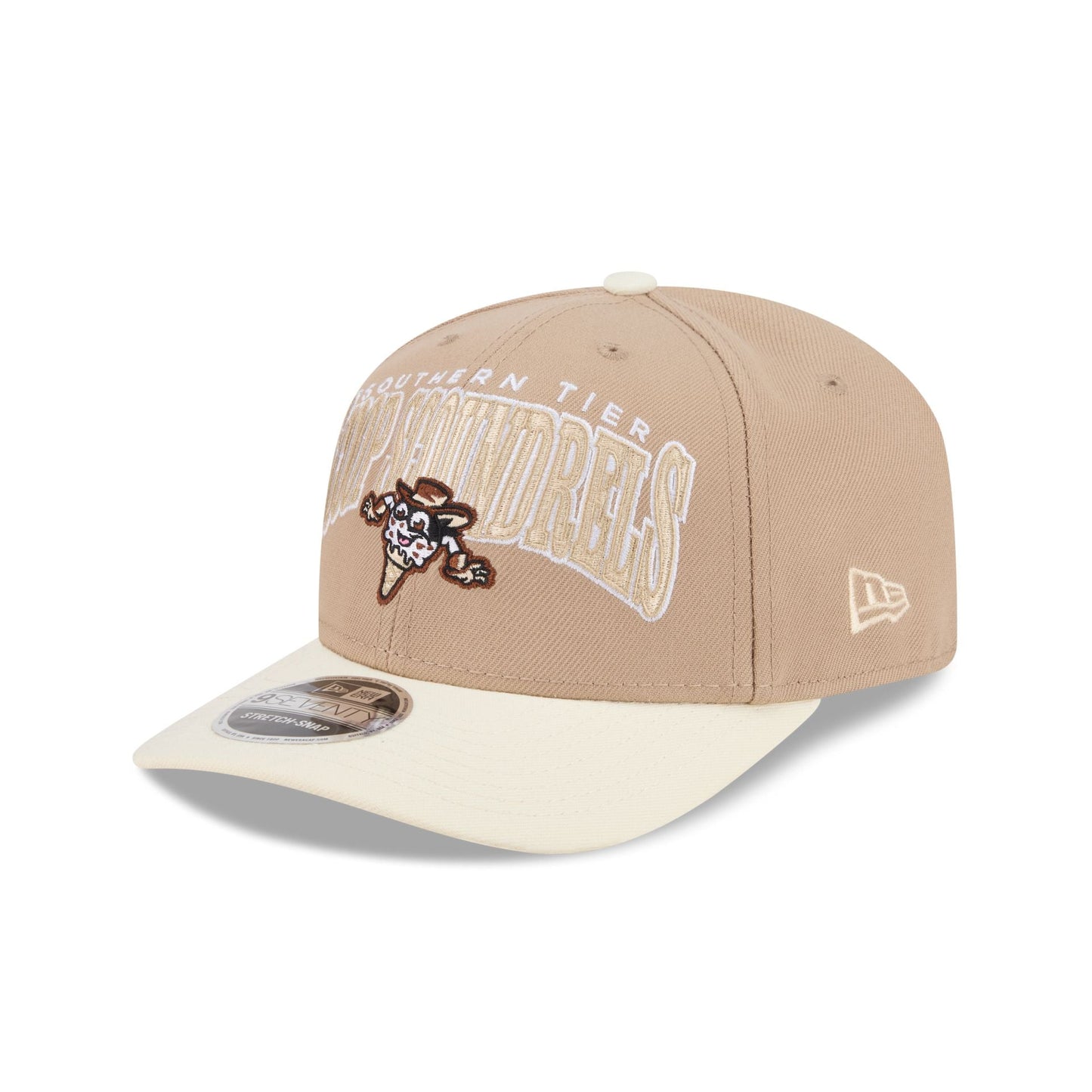 Binghamton Rumble Ponies Theme Night Wordmark 9SEVENTY Stretch-Snap Hat