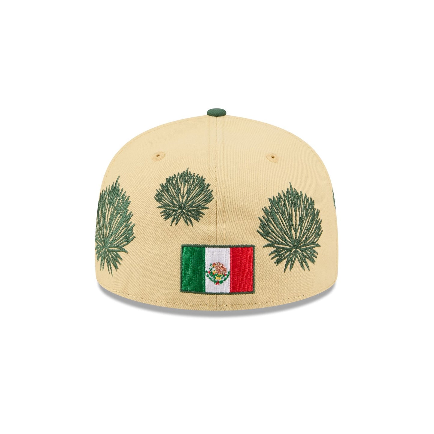 Houston Astros Agave 59FIFTY Fitted Hat