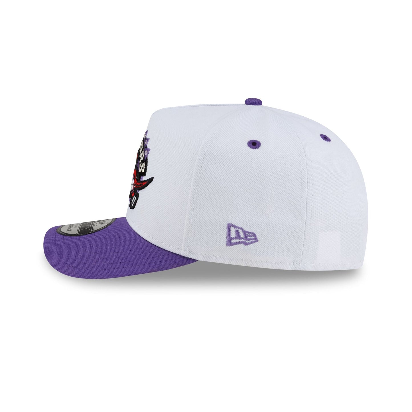 Toronto Raptors Hardwood Classics 90s Panel 9FIFTY A-Frame Snapback Hat